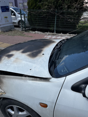 Hasarlı Nissan Primera Kaput altı hasarlı