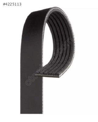 ŞARZ KAYIŞI (6PK 1353) T4 96-04 074145933AL