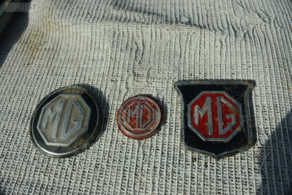 MG ZS KAPUT ARMASI