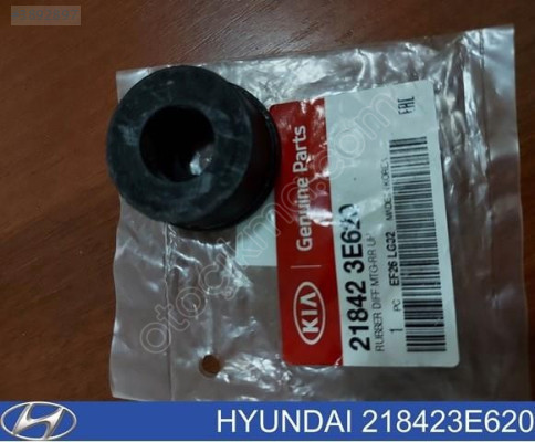 21842-3E620 DİFERANSİYEL TAKOZU ÜST 02-09 SORENTO