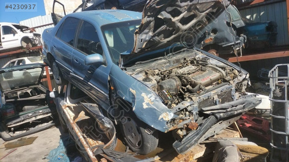 Hyundai Elantra kapılar