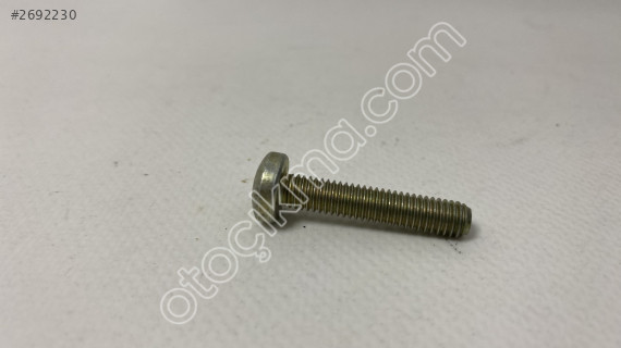 7703006219  CİVATA 6X100-30 LAGUNA I