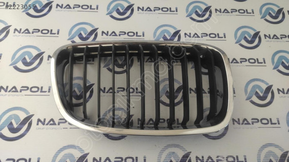 7239022 BMW 1 SERİSİ F20 F21 SAĞ BÖBREK