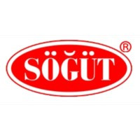 Söğüt Oto Cam